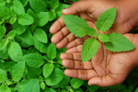 HOW TO TREAT KIDNEY STONES 