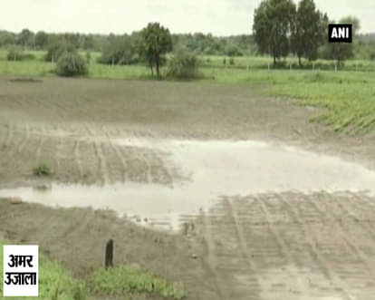 Farmers helpless as heavy rains ruin crops