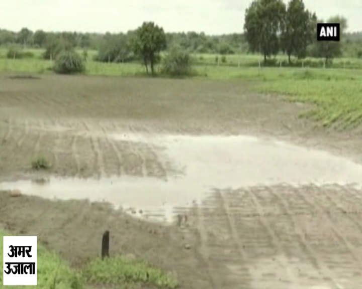 भारी बारिश से बर्बाद हुई फसल