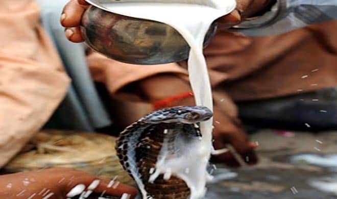 naag devta puja on nag panchami