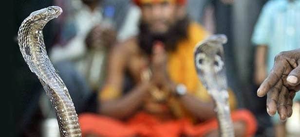 naag devta puja on nag panchami