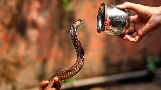 naag devta puja on nag panchami