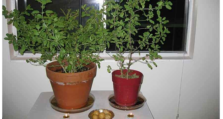 vastu tips for solving money problem and get wealth