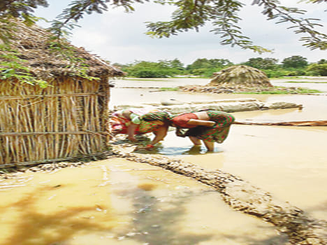 Quasimpur around the water