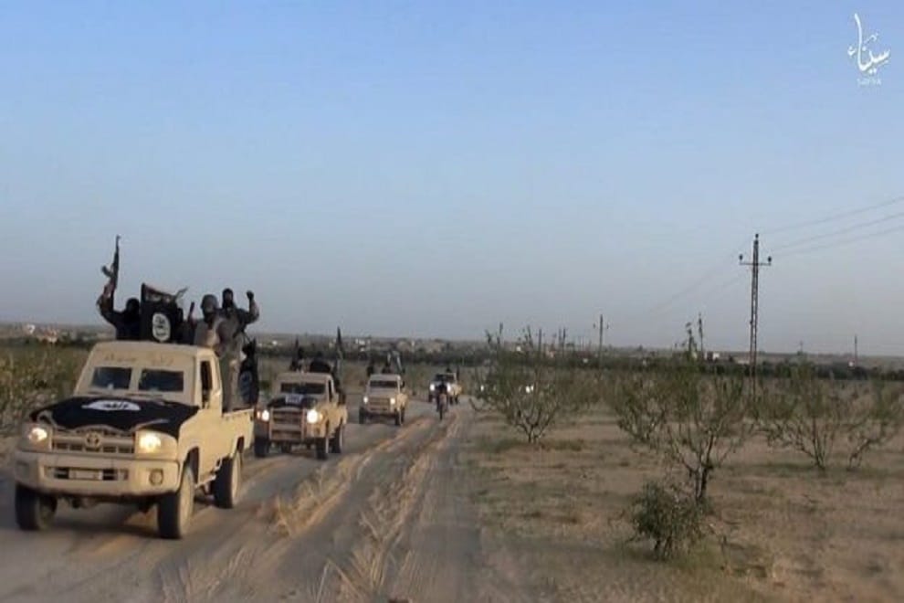 egypt kills head of is sinai