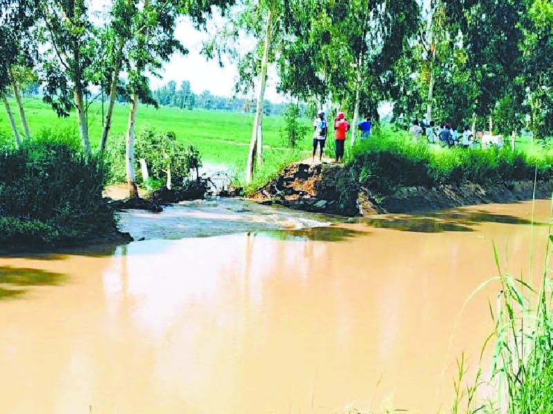 maluka river, gap, crop distroyee