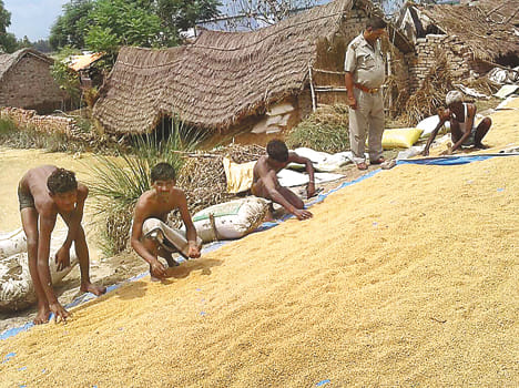  Averted the risk of flooding, diseases caught by