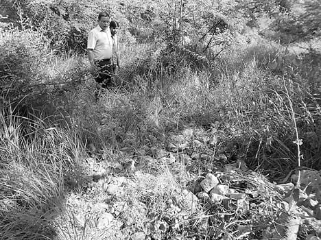 CDO saw thrown in the sewer plants