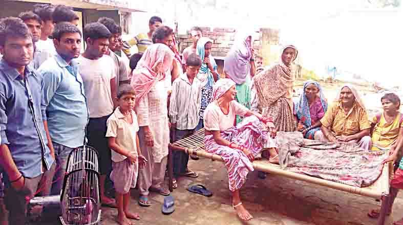 daquit,amroha