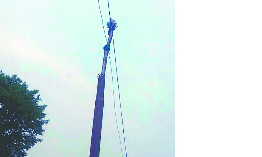 HT line fell apart on school children survived