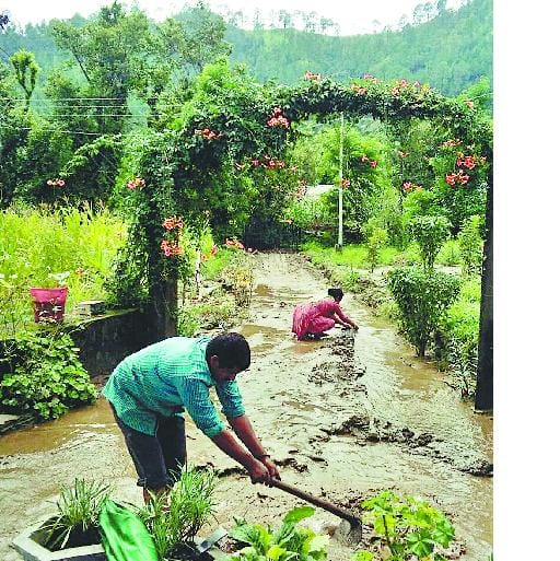 land sliding in distt mandi, road, home destroyed