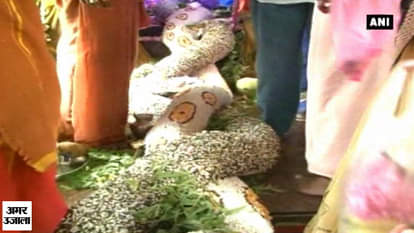 60-feet-long ‘pulses snake’ worshipped as part of Aadi festival