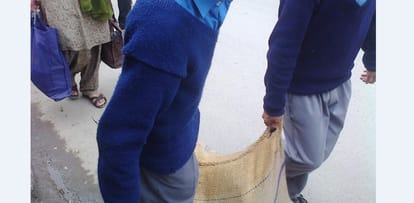 School Students become labourer in chalaunthi school shimla.