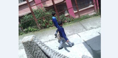 School Students become labourer in chalaunthi school shimla.
