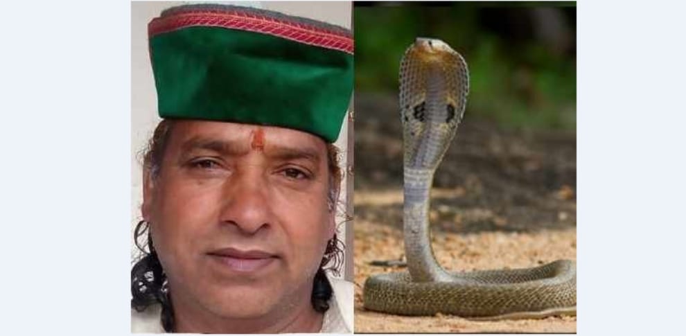 Snake bite An Army Solider 72 times at mandi.