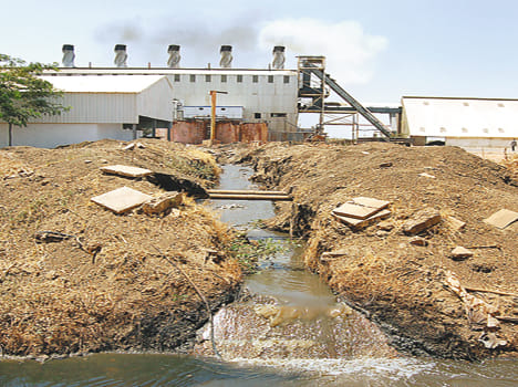 Ganga Maili Tannery operator sentenced to