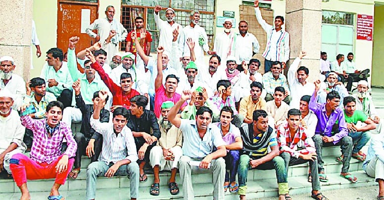farmers on collectrate