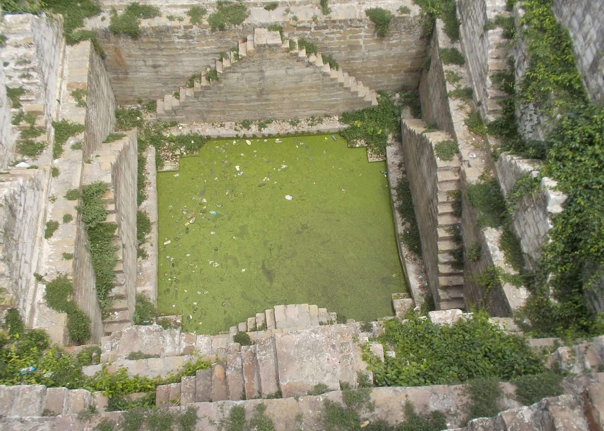 Baoli will bring together devotees of the Nag Panchami furrow