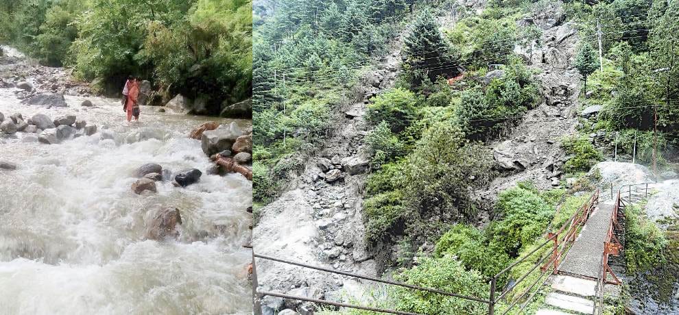 Forest Department waiting for monsoon for plantation