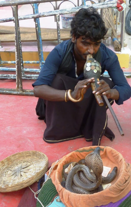 naag panchmi