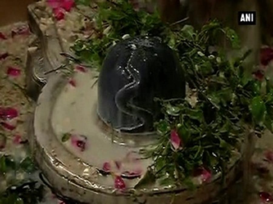 lord shiva abhishek in nag panchami