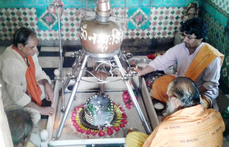 Panchami festival celebrated in the traditional way