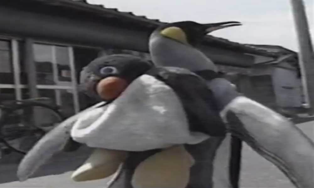This Penguin Daily Go Market For Shopping
