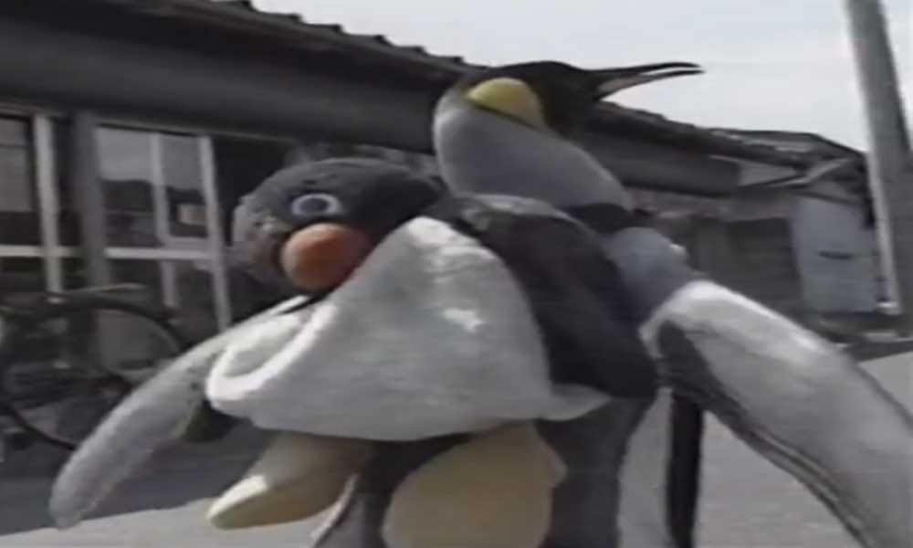 This Penguin Daily Go Market For Shopping