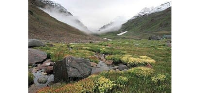 Himachal Pradesh: Trekkers trapped in Pin Valley rescued