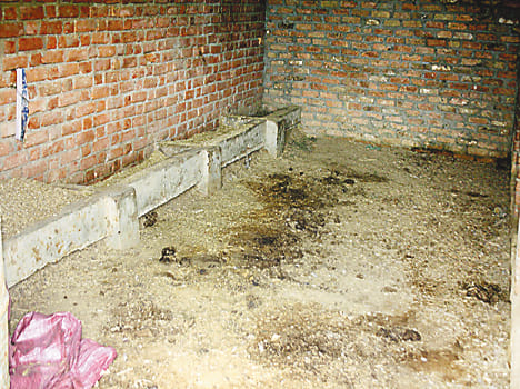 Cow protection to name just a sham