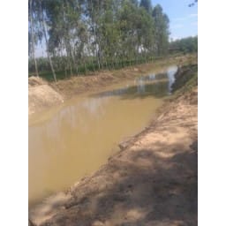 yamunanagar,sarswati, half,water,trail