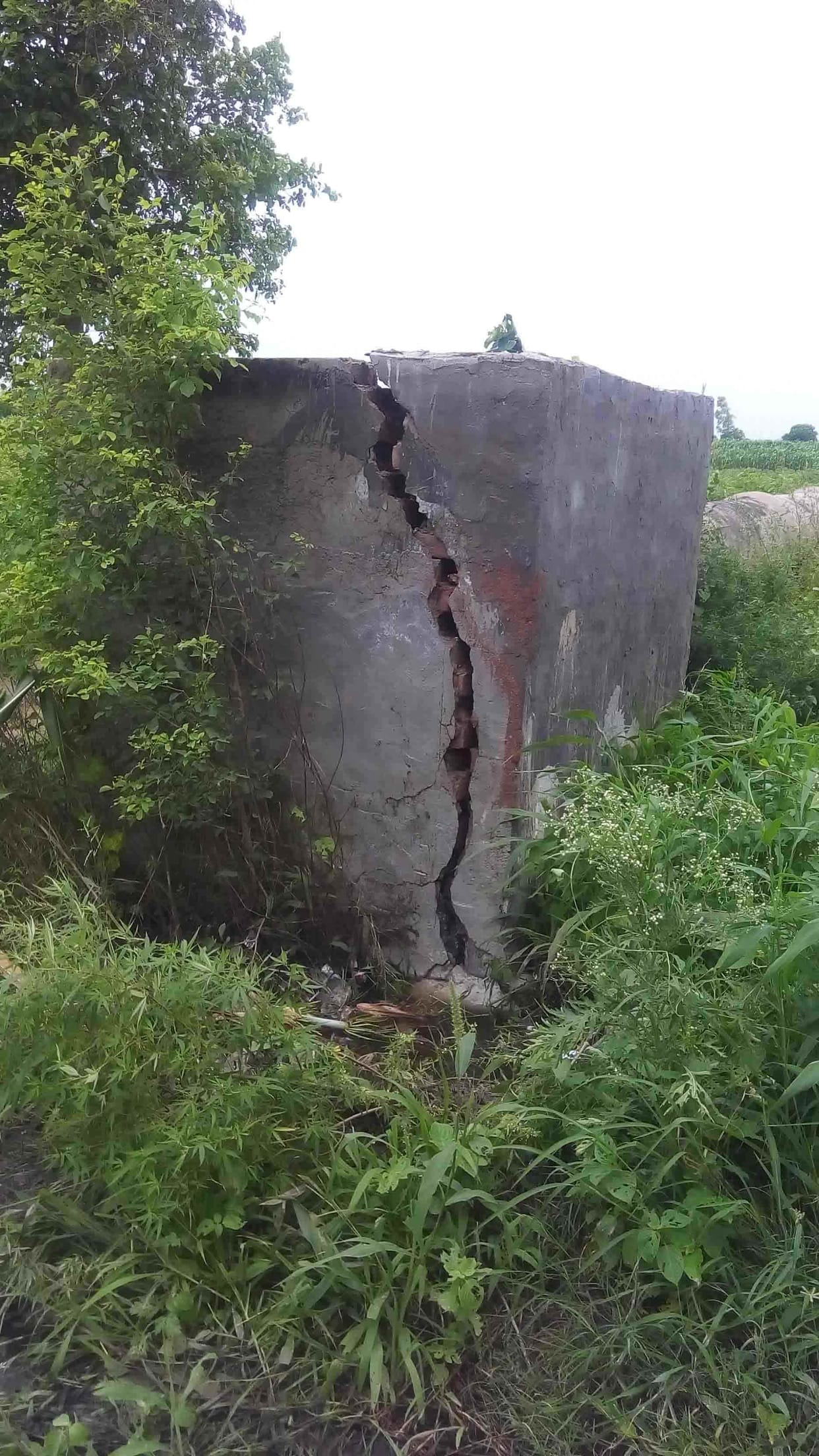  Farmland submerged basins treatment plant breakdown
