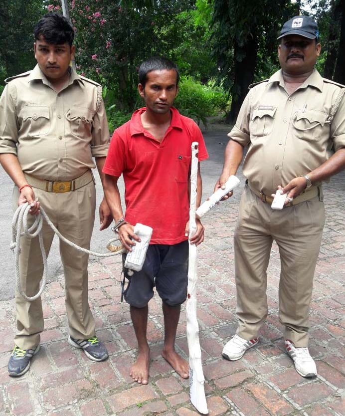 Walking in the woods in search of young prey arrested