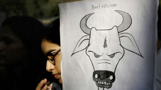 Fear of cow protector truck driver died in madhya pradesh