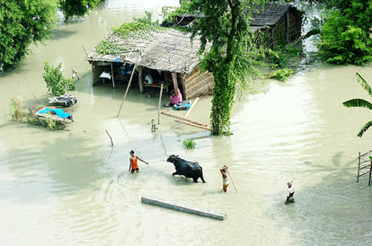 Bihar Flood Survivors Started Eating Rats