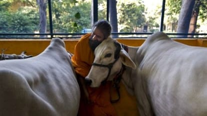Fear of cow protector truck driver died in madhya pradesh