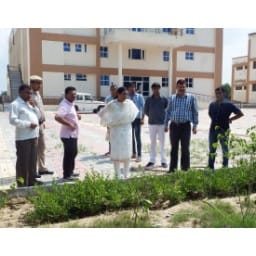 plantation, 2.5 lakh plants, jhajjar