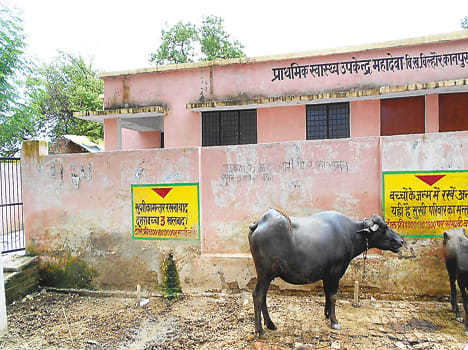 Upaswasthe center built by cattlemen herd