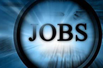 recruitment ofr bank of baroda