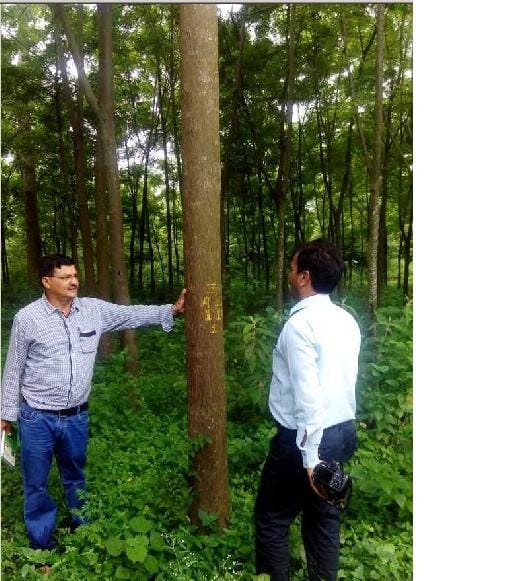 Trial Success: South India will from Milia 'Lakshmi'