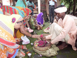  The worship of snakes on Panchami