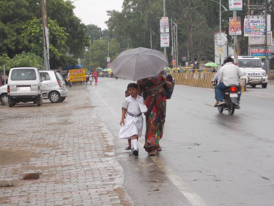 Drizzle, sometimes drizzling face bloom