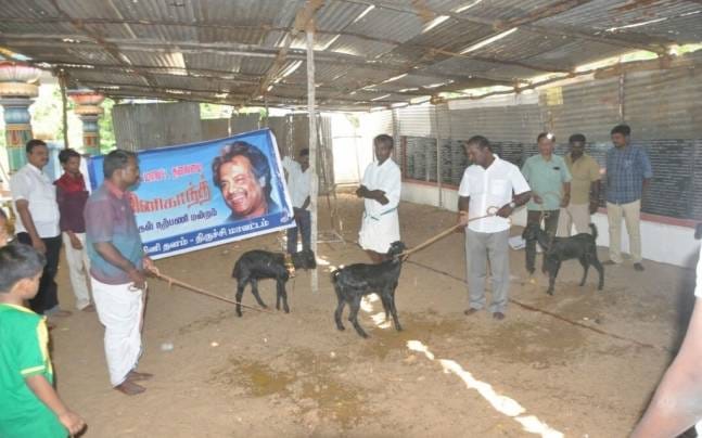 Rajinikanth fans perform animal sacrifice