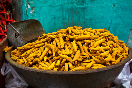 turmeric can cure tb effectively