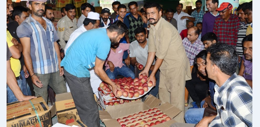 Himachali Apple Production Will Decrease in 2016.