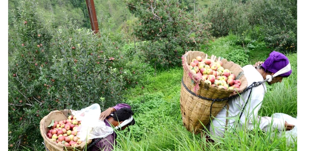 HP Govt Will Regularized Illegal Encroachments of Small Farmers in Himachal.