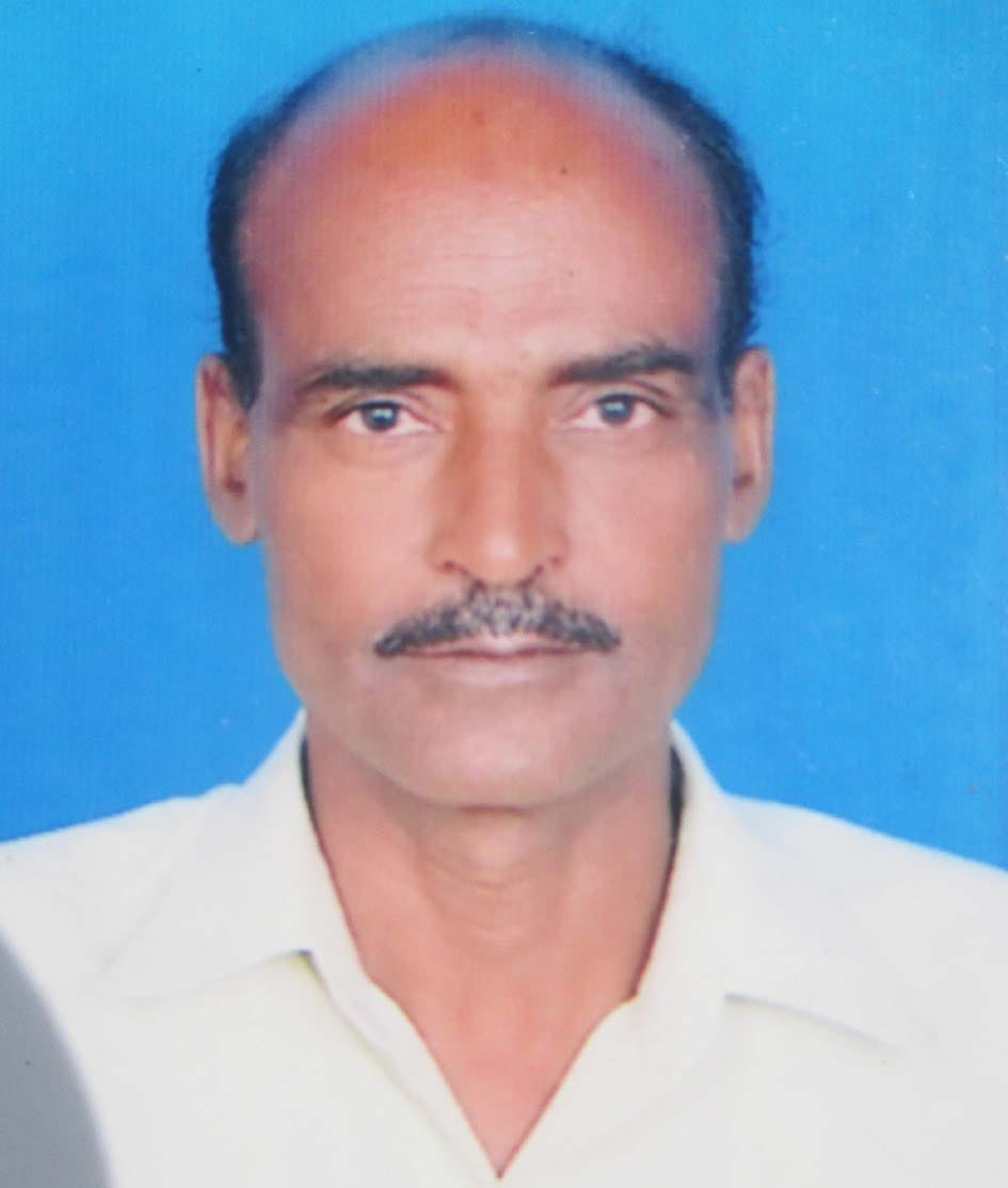 Raj Mistry's death from fever in Gulavti
