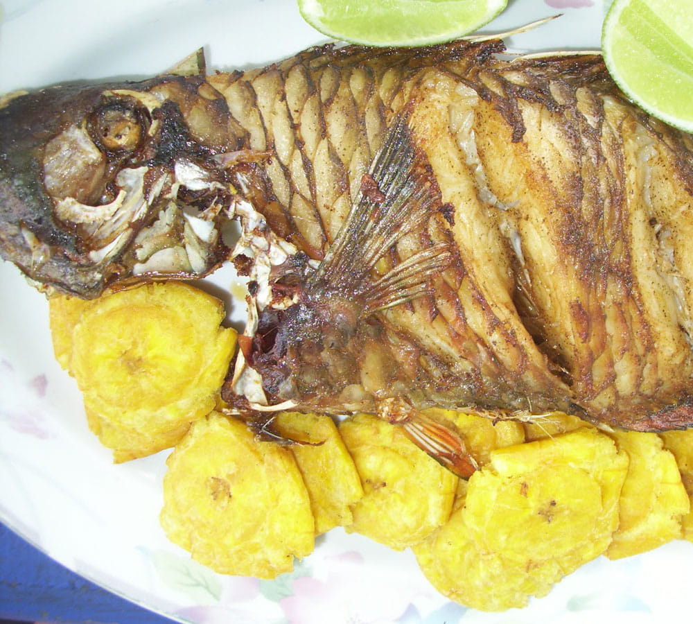eating fish in monsoon is a bad idea