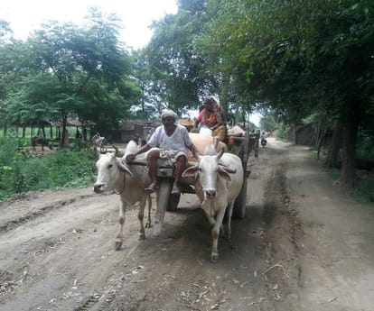 flood in gonda and barabanki in Uttar Pradesh.