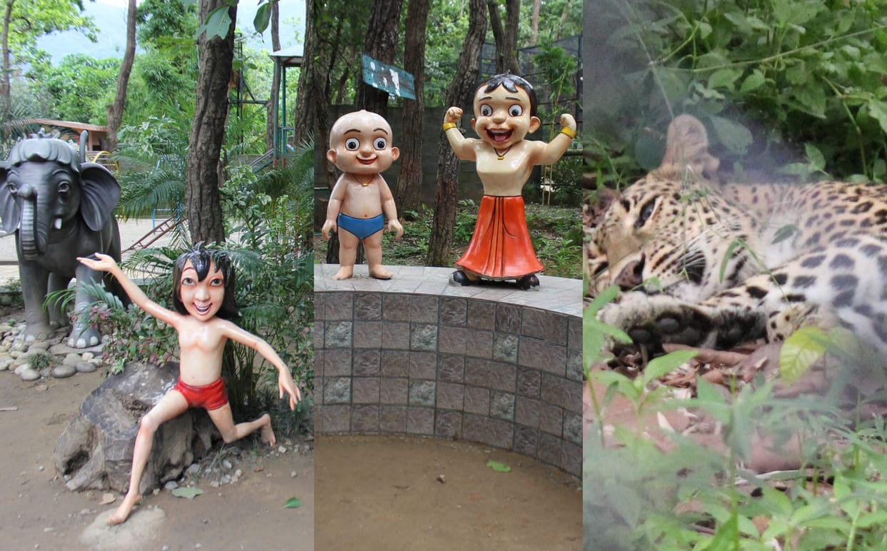 spent your day in malsi deer park dehradun.